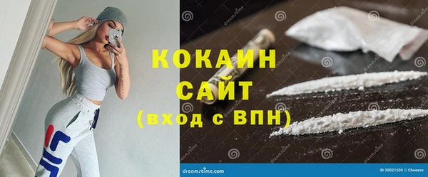 ГАЛЛЮЦИНОГЕННЫЕ ГРИБЫ Богданович