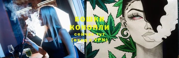 ГАЛЛЮЦИНОГЕННЫЕ ГРИБЫ Богданович