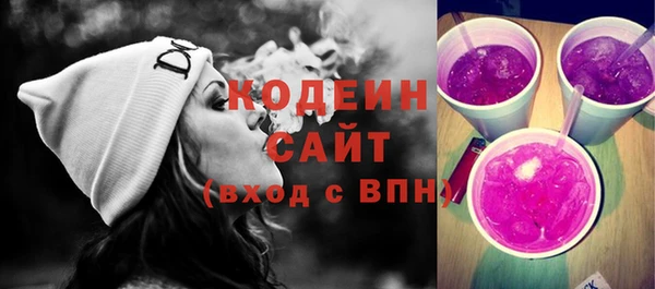 спиды Богородицк