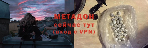 ГАЛЛЮЦИНОГЕННЫЕ ГРИБЫ Богданович