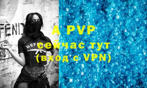 ГАЛЛЮЦИНОГЕННЫЕ ГРИБЫ Богданович