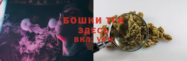 спиды Богородицк
