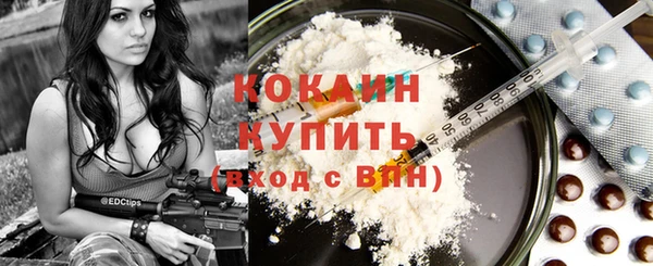 ГАЛЛЮЦИНОГЕННЫЕ ГРИБЫ Богданович