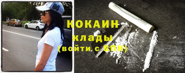 спиды Богородицк