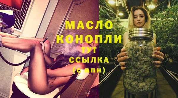 спиды Богородицк