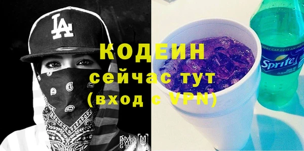 ГАЛЛЮЦИНОГЕННЫЕ ГРИБЫ Богданович