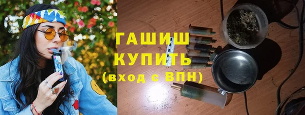 спиды Богородицк