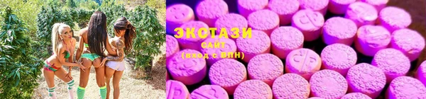 спиды Богородицк