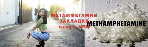 ГАЛЛЮЦИНОГЕННЫЕ ГРИБЫ Богданович