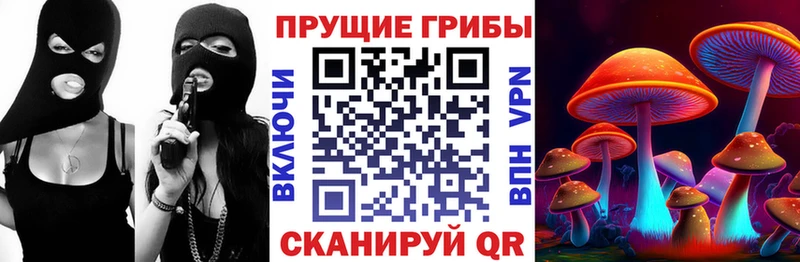 Галлюциногенные грибы Psilocybine cubensis  Новый Уренгой 
